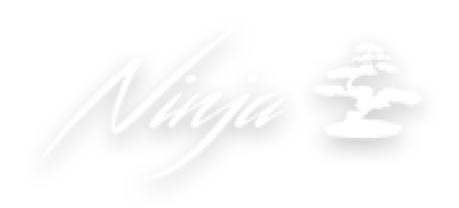 Ninja_logo-sm